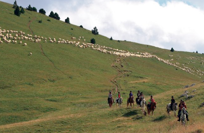 Rando équestre itinérante Juniors (10-13 ans) dans la forêt de Lente et les alpages du Vercors