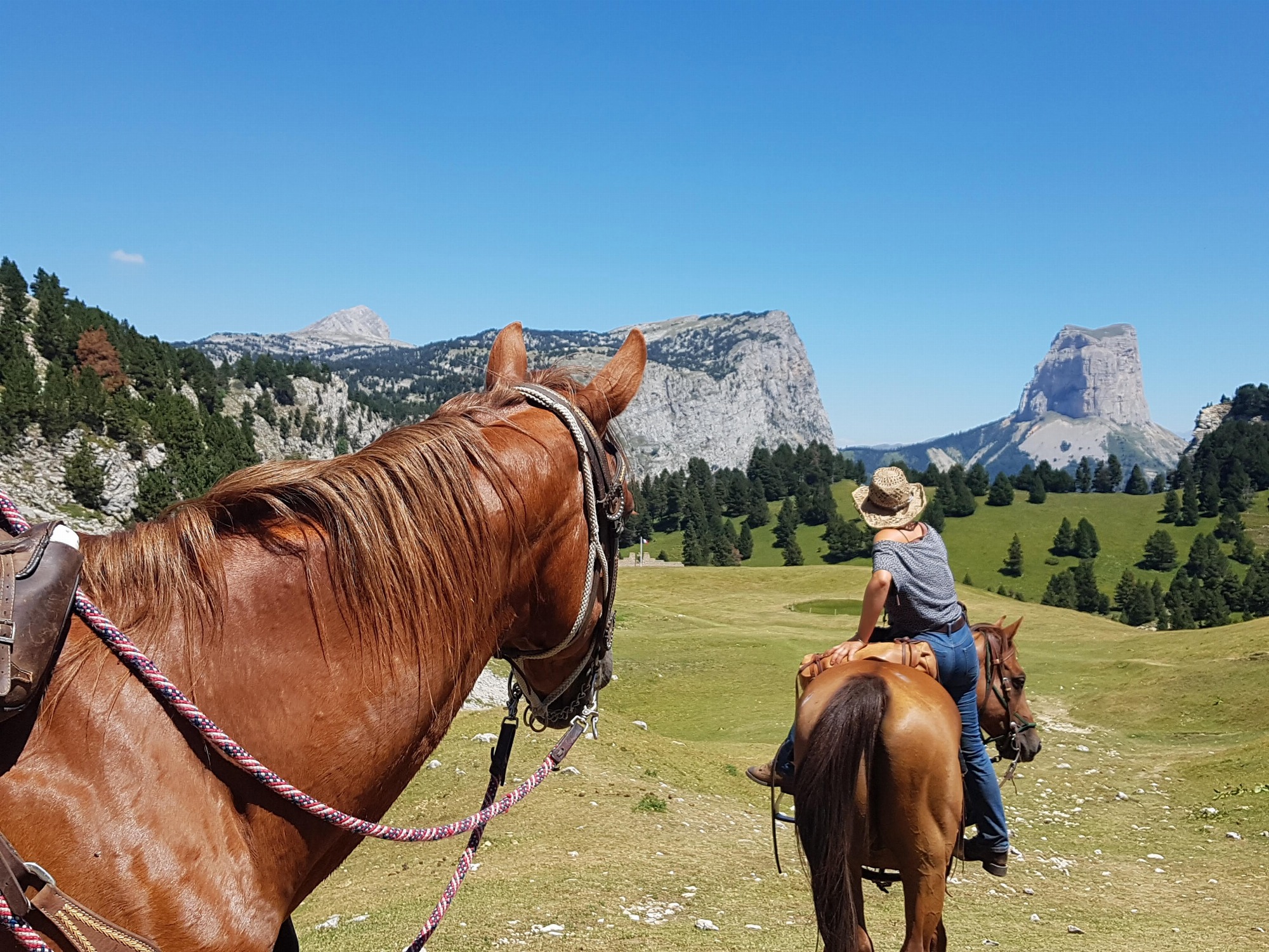 Randonnée en itinérance  dans la Réserve Naturelle des Hauts plateaux